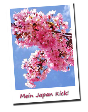 Cherry Blossom
